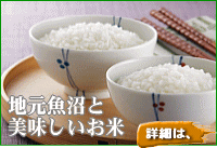 魚沼産コシヒカリ